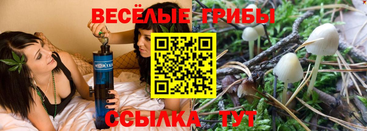 Галлюциногенные грибы Cubensis  Вход с VPN  Котельники 