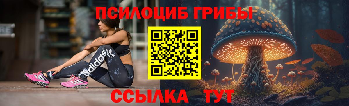 Галлюциногенные грибы MAGIC MUSHROOMS Котельники