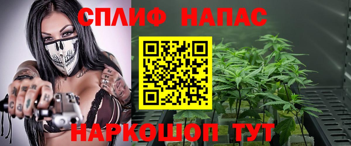Каннабис SATIVA & INDICA Котельники